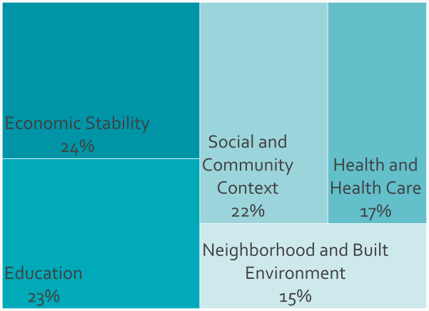 Image of Social Determinants graphic